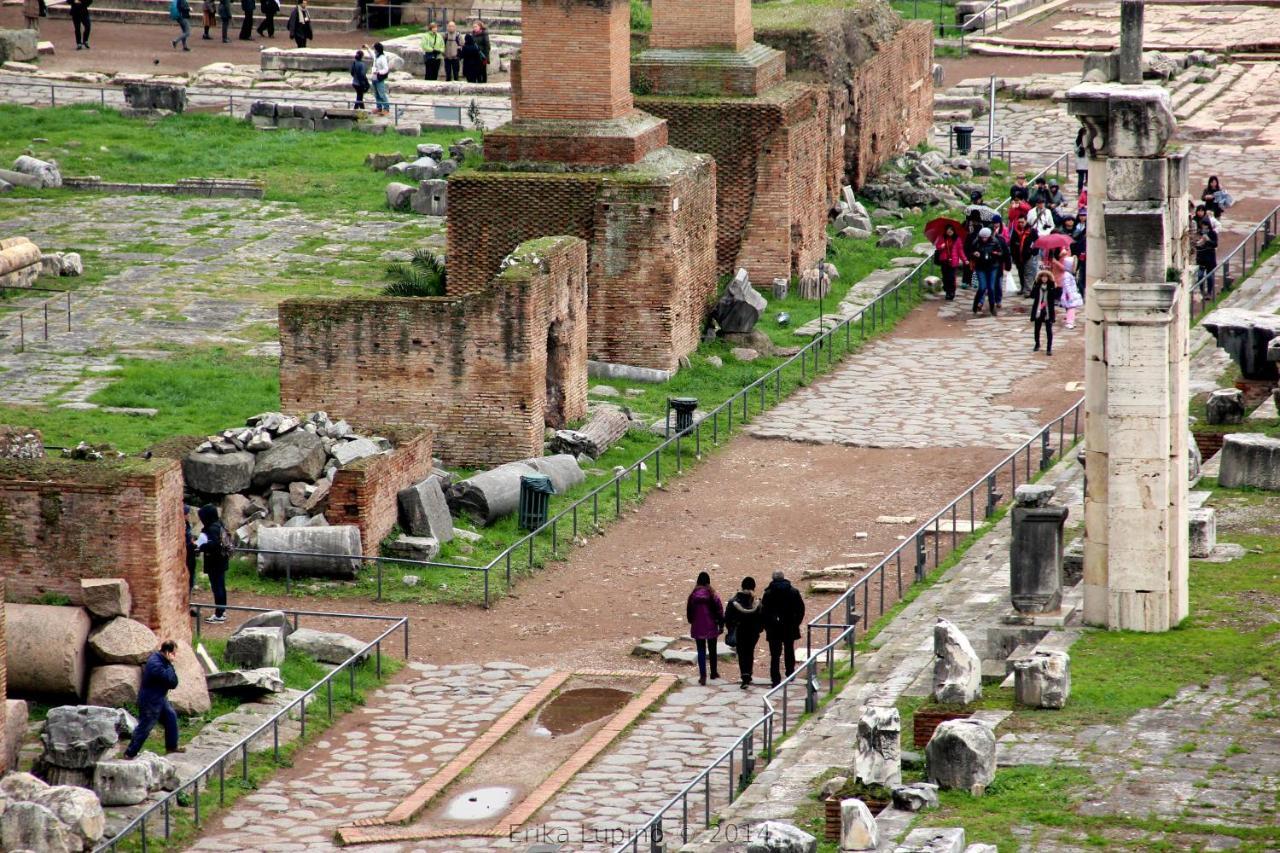 Sofia's Roma